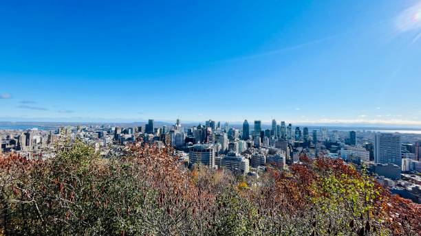 istock Montreal in autumn on a sunny day 1783880973