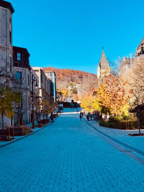 Street in Montreal