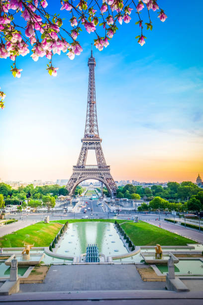 istock eiffel tour and from Trocadero, Paris 1783883802