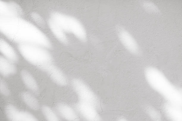 istock Background White Wall with Shadow leaves,Empty Exterior Concrete with sunlight reflection texture, White Paint on Wall Cement with Rough Sureface,Backdrop for Product Present 1783884981