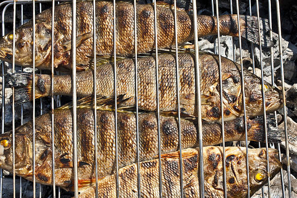 grilled fish