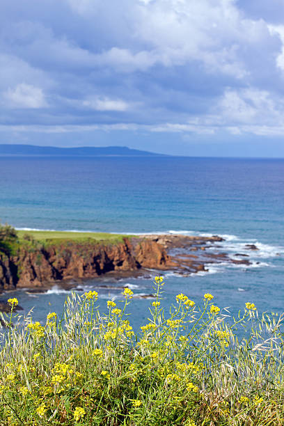 istock Latchi Beach near Polis in Cyprus 178389229