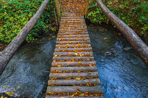 Wooden bridge over a river in the forest