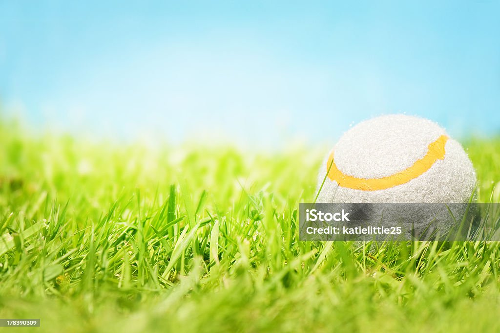 Tennis ball auf Gras - Lizenzfrei Baseball-Spielball Stock-Foto