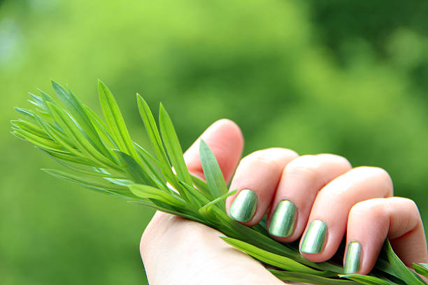 A female hand with spring green (mint coloured) nail polish on holding a twig against a green background
