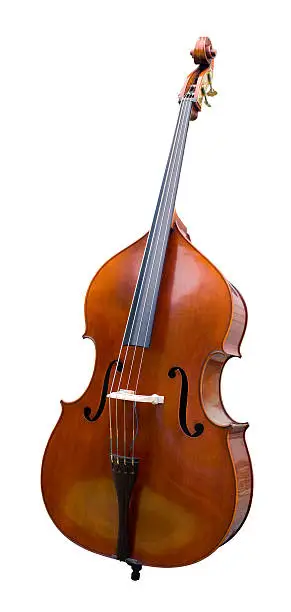 "Acoustic bass (double bass, contra bass), 3/4 right front view, isolated on white, newer 3/4 (professional) size, Russian spruce top, steel strings, adjustable bridge, ebony fingerboard, maple neck. Photographed by the bassist/photographer/owner."