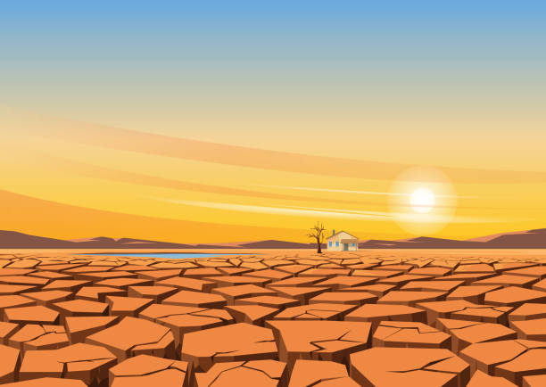 жары. засуха в природе. концепция глобального потепления и изменения климата - desert dry land drought stock illustrations