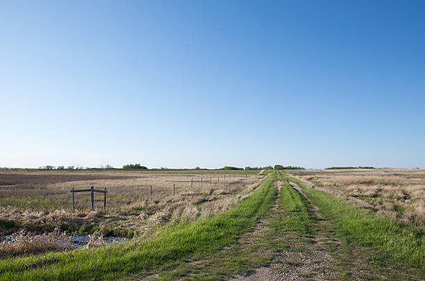 prairie trilhas - saskatchewan country road road prairie - fotografias e filmes do acervo