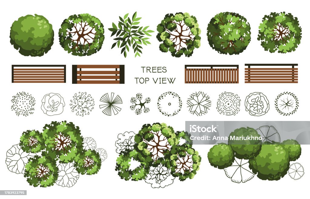 Trees Layout Ref Top View Elements For The Landscape Design Plan Trees And Benches For ...