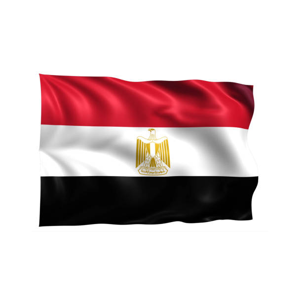Egyptian Flag on cracked wall background.