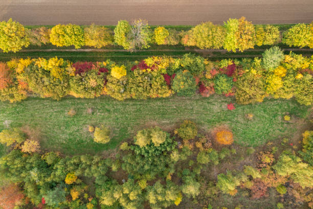 istock Autumn mood in Taunus/Germany 1783925038