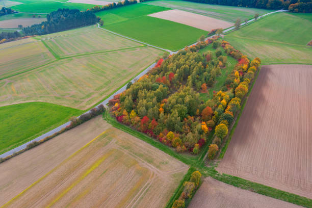 istock Autumn mood in Taunus/Germany 1783926206