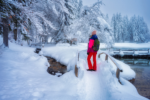 Young woman in red with backpack in beautiful snowy forest in winter. Kranjska Gora, Slovenia. Landscape with trees in snow, sporty girl, trail. Snowfall in wintry foggy woods. Trees in hoar. Hiking