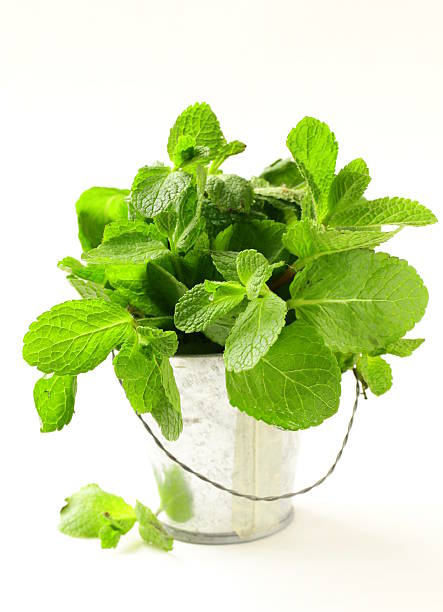 istock bunch of fresh green mint on white background 178393387