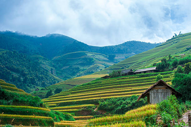 istock Stilt houses on the hill with rice terraced fields 178393468
