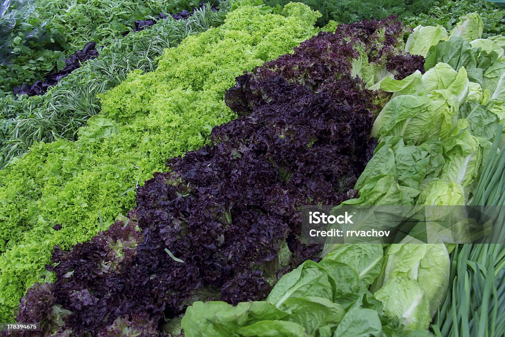 Folhas verdes e alface no mercado de balcão. - Foto de stock de Agricultura royalty-free