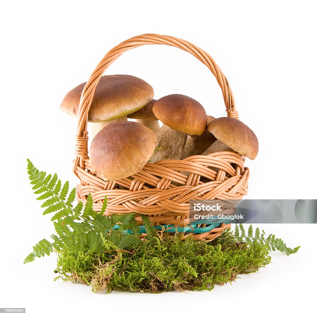 Mushrooms in a basket Fresh mushrooms in a wicker basket on green moss isolated on white Basket Stock Photo