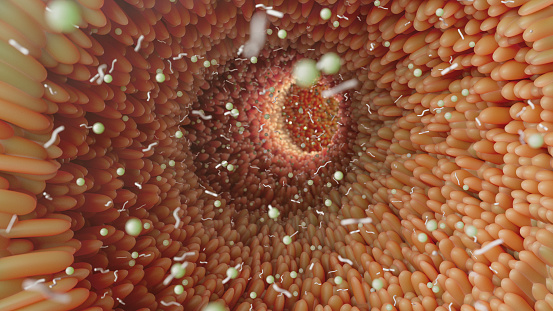 3D rendered visualization of the colon's mucosa, highlighting microvilli, bacterial spheres, and worm-like microbes integral to gut health.