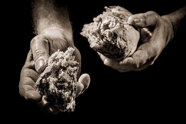 Human Hand giving a piece of bread stock photo