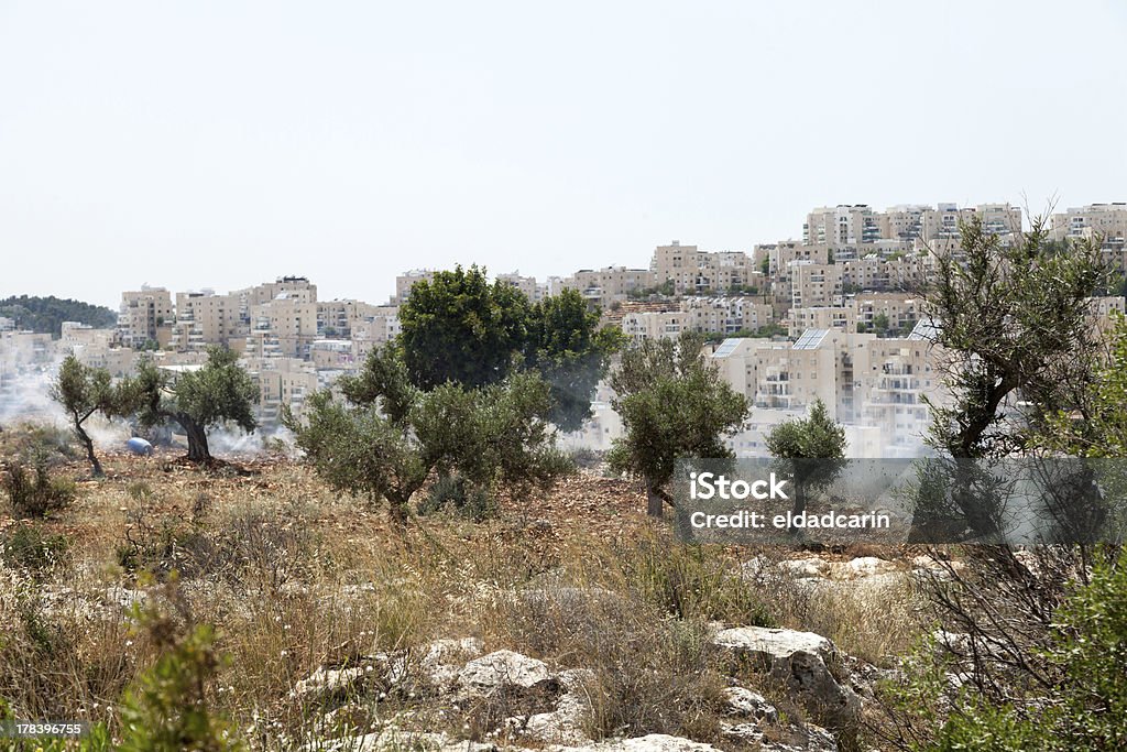 West Bank colonatos e gás lacrimogêneo no campo da Palestina - Foto de stock de Apartheid royalty-free