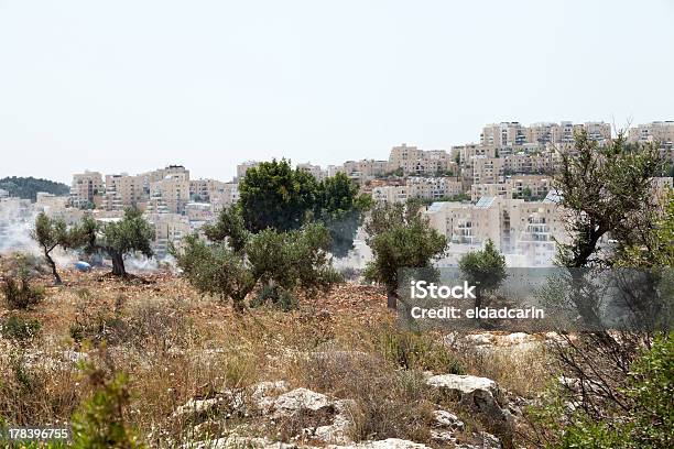 Foto de West Bank Colonatos E Gás Lacrimogêneo No Campo Da Palestina e mais fotos de stock de Apartheid