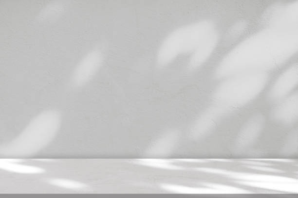 istock Studio Background White Wall with Shadow leaves,light on floor,Empty Exterior Concrete with sunlight reflection texture, White Paint on Wall Cement with Rough Sureface,Backdrop for Product Present 1783971065