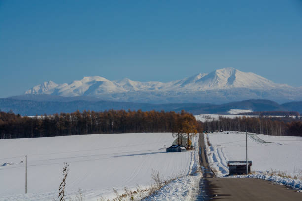 雪原と青い空が広がる美しい冬の風景。
