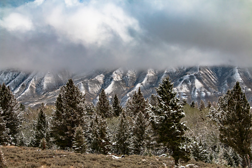 Grass-filled mountain valley in spring.