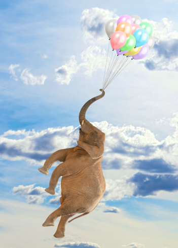 Elephant Flying With Balloons, Outdoor