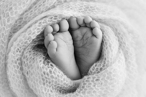 The tiny foot of a newborn baby. Soft feet of a new born in a wool blanket. Close up of toes, heels and feet of a newborn. Macro photography. Black and white