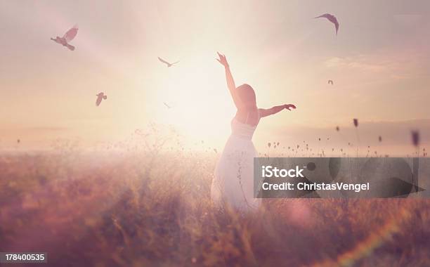 Beautiful Girl In A Field At Sunrise Stock Photo - Download Image Now - Adult, Beautiful People, Beauty