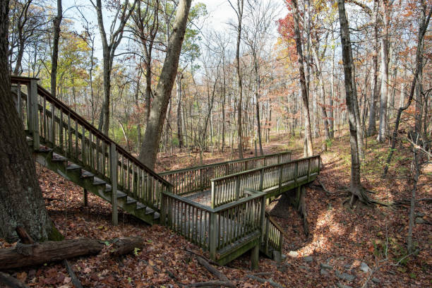 istock Rustic Wooden Bridge in Deciduous Forest in Late Autumn 1784005472