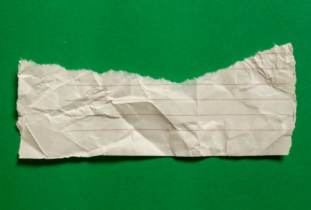 Ripped paper pieces isolated on a green background. Recycled torn paper with copy space.