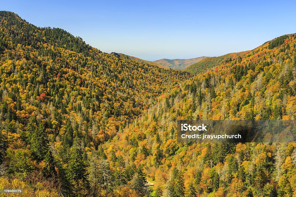 Moton Blick auf im Herbst Farbe - Lizenzfrei Herbst Stock-Foto