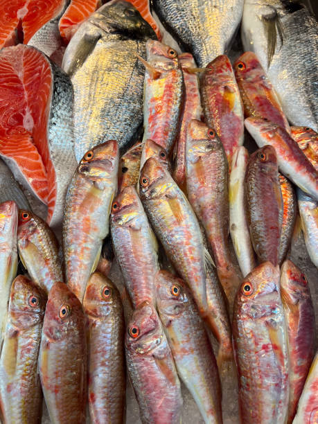istock Close up view of fish background 1784010978