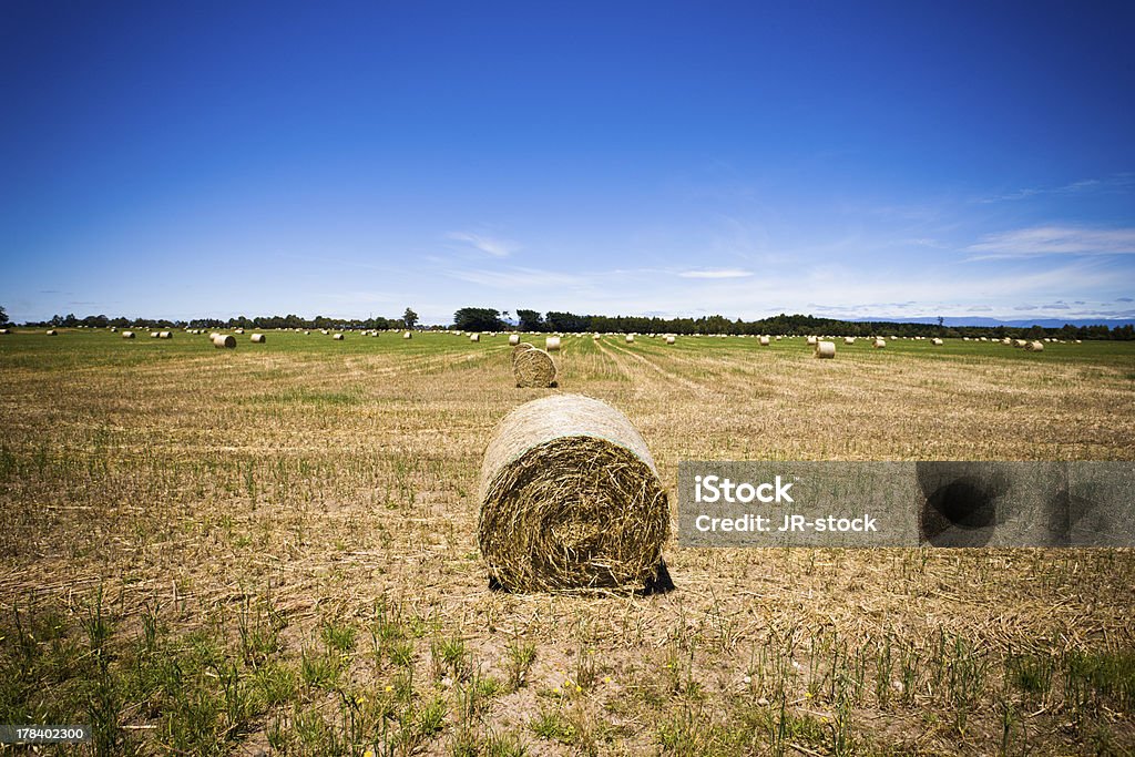 Redondo hay bale en un campo - Foto de stock de Acre libre de derechos