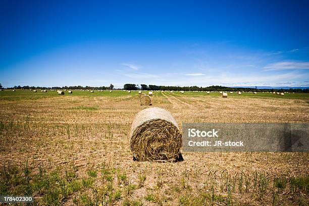 Redondo Hay Bale En Un Campo Foto de stock y más banco de imágenes de Acre - Acre, Agricultura, Almiar