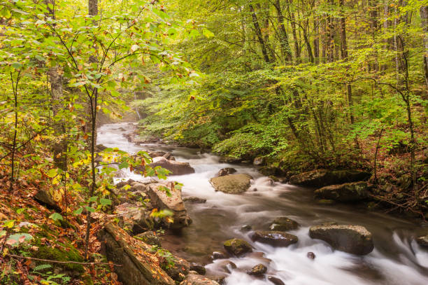 グレート・スモーキー山脈国立公園のピジョン・フォージにあるリトル・ピジョン川 - tennessee east mountain smoke ストックフォトと画像