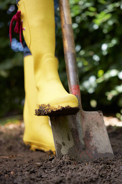 istock Woman digging in garden 178402598