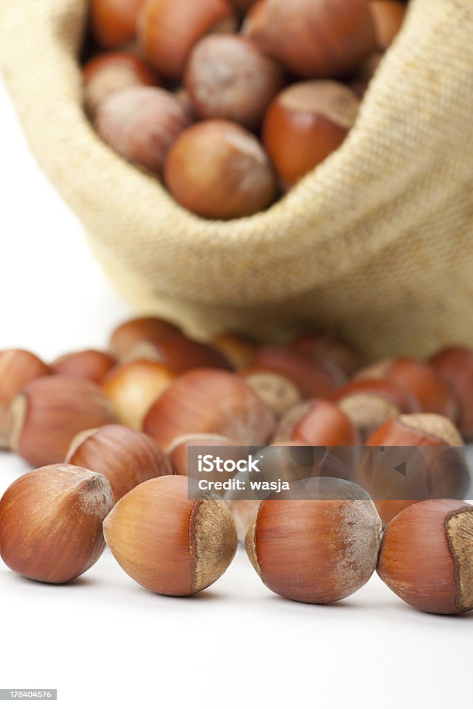 hazelnuts in a burlap bag on white background fresh hazelnuts in a bag on white background Autumn Stock Photo