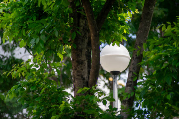 istock Lamp post in the garden with tree and green leaves background. 1784048087