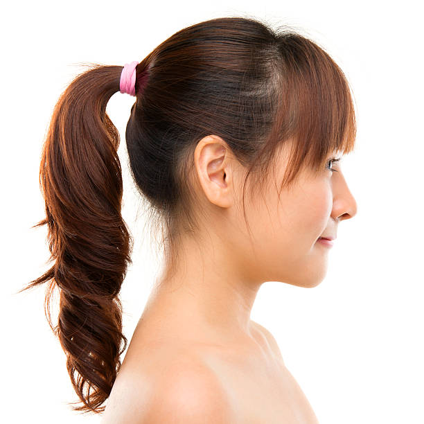 asiatische frau profil. - ponytail side view women human head stock-fotos und bilder