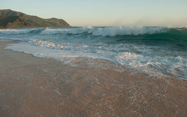 Quebrar das ondas na praia - foto de acervo