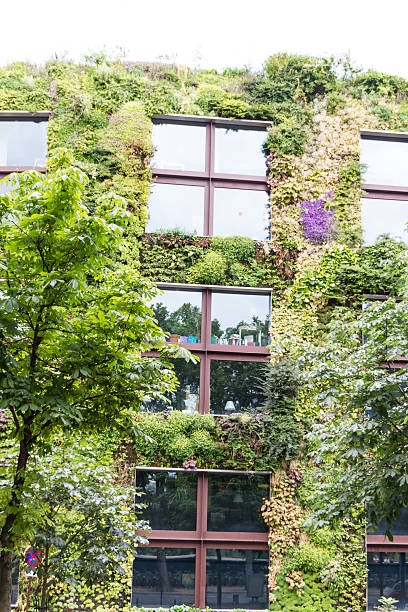 istock Historic building in Paris France 178407079