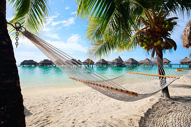 praia perfeita em moorea - tahiti imagens e fotografias de stock