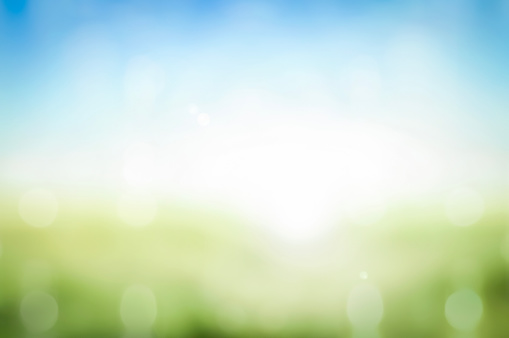 Abstract blurred nature summer bokeh background