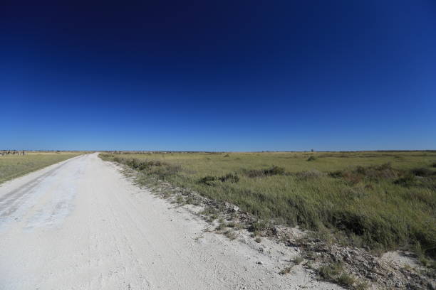 istock gravel road Etosha NP 1784102906