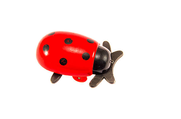wooden ladybird toy isolated on white