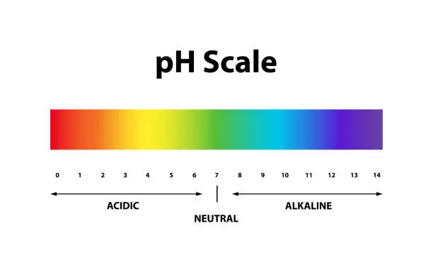 Vector illustration of Quantitative Ph level Scale chart indicator diagram value. Alkaline, neutral, acidic solution.