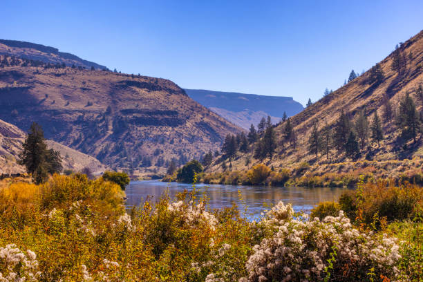 istock Deshutes River at the base of rimrock cliffs in Eastern, Oregon, USA 1784131780